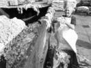Disposing of Waste (J Baker)