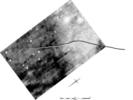 Geophysics results on bank
